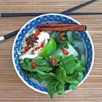 Vietnamese Chicken Noodle Soup
