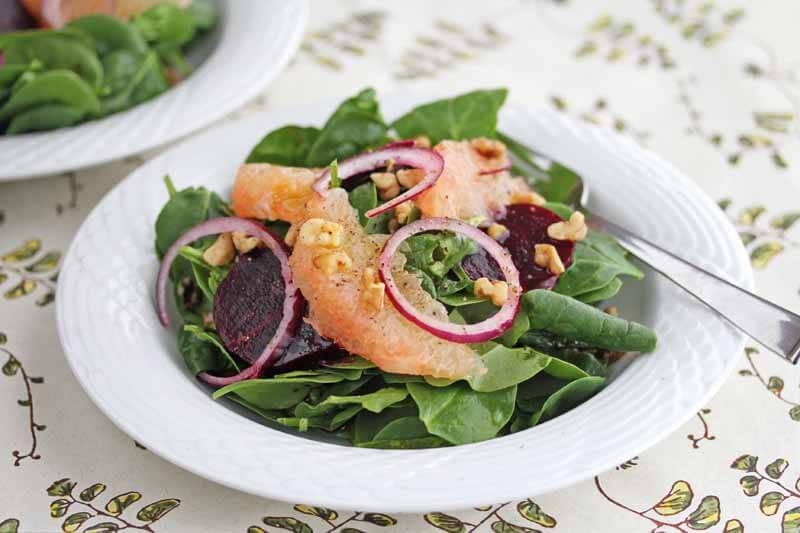 Detox Beet and Pink Grapefruit Salad 