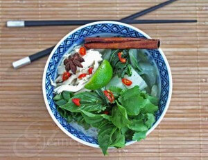 Vietnamese Chicken Noodle Soup