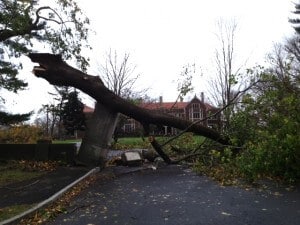 Hurricane Sandy Damage - Waveny House