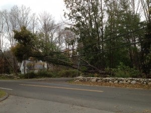 Hurricane Sandy - a common scene all around town.