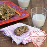 No-Bake-Peanut-Butter-Chia-Chocolate-Chip-Cookies-@carascravings