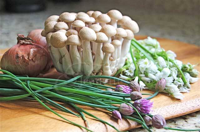 Bunashimeji or Beech Mushrooms