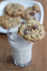 Healthy Chocolate Cranberry Walnut Cookies © Jeanette's Healthy Living
