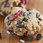 Cranberry Coconut Chocolate Chip Oatmeal Cookie