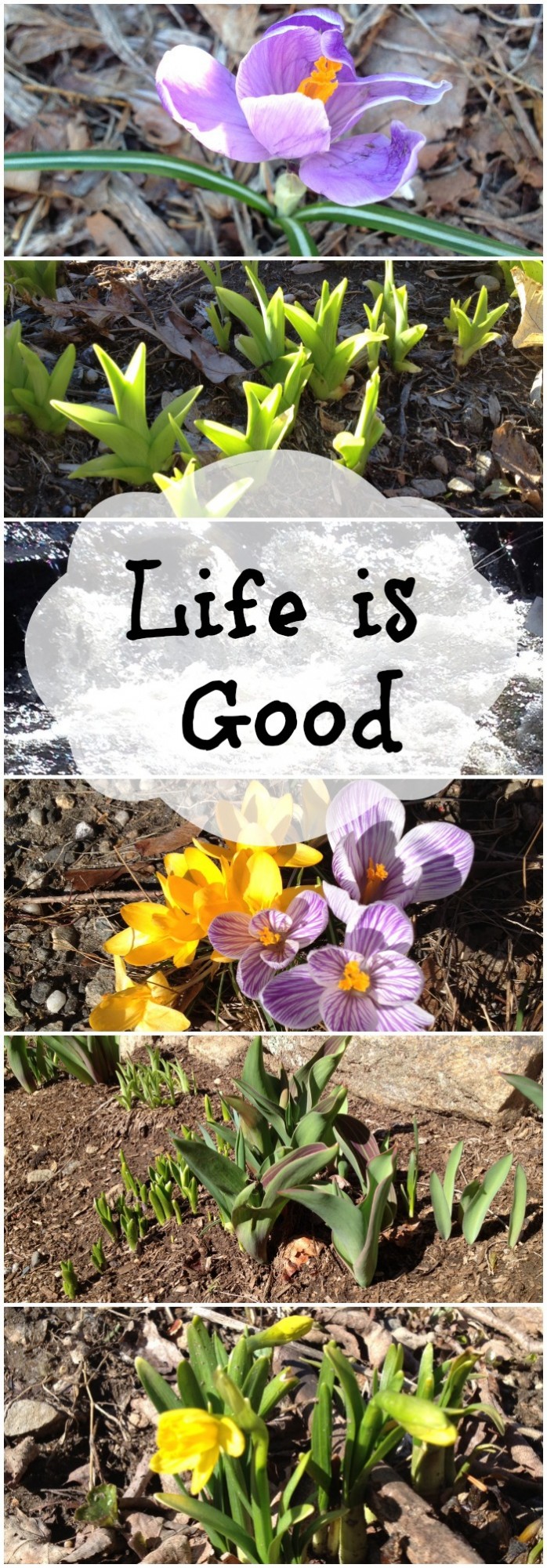 Life Is Good - Happy Spring!