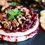 Cranberry Apple Chutney Pecan Brie Appetizer - this elegant appetizer is perfect for the Christmas holiday!