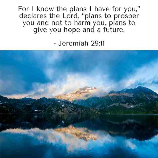 Jeremiah 29-11