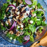 Blueberry Cranberry Aged Goat Cheese Walnut Salad © Jeanette