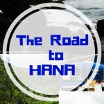 Road To Hana - beautiful views, waterfalls, lava tube, black beach, food trucks, coconut ice cream, banana bread