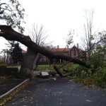 Hurricane Sandy Damage - Waveny House