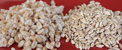 Cooked (left) and Dry (right) Semi-Pearled Farro